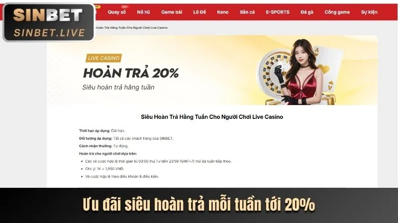 Hướng dẫn chơi casino trực tuyến thebet john